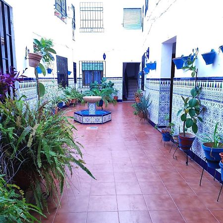 קורדובה La Casa Del Patio En Pleno San Lorenzo מראה חיצוני תמונה