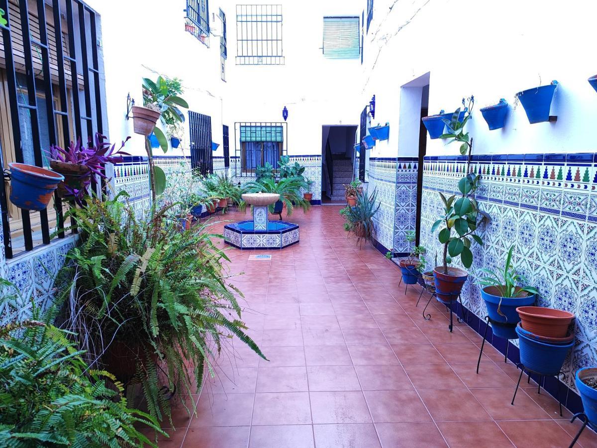 קורדובה La Casa Del Patio En Pleno San Lorenzo מראה חיצוני תמונה